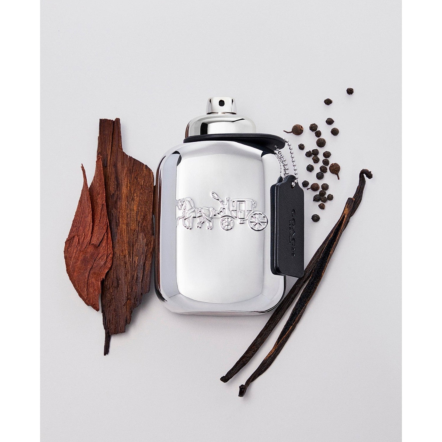 COACH - New York Platinum Eau de Parfum, 3.3 oz