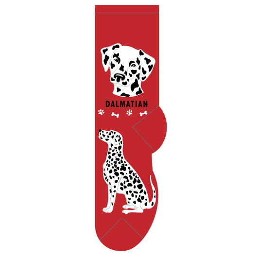 Dalmatian