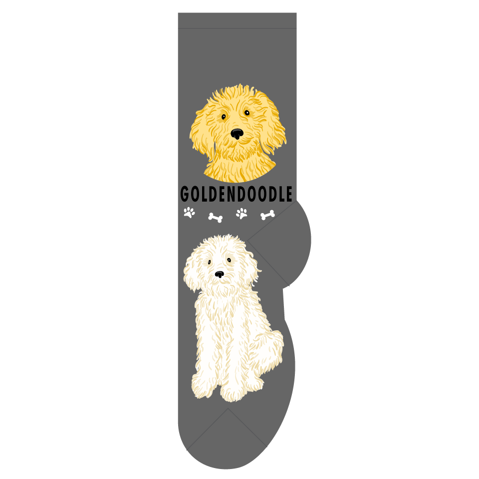 Goldendoodle