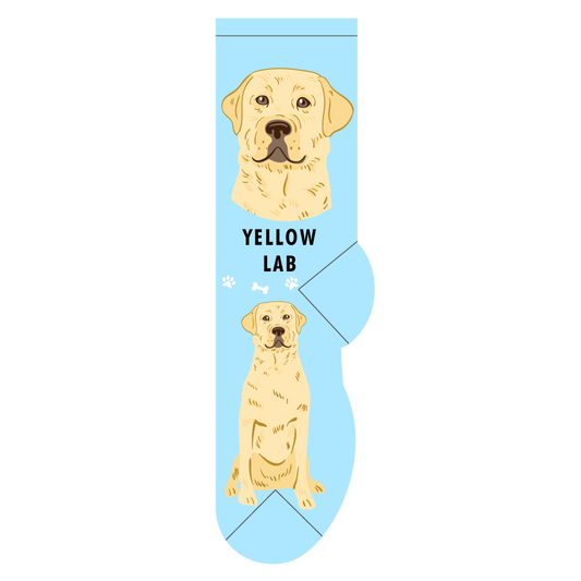 Yellow Lab