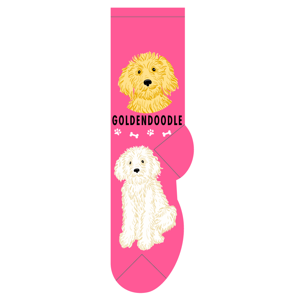 Goldendoodle