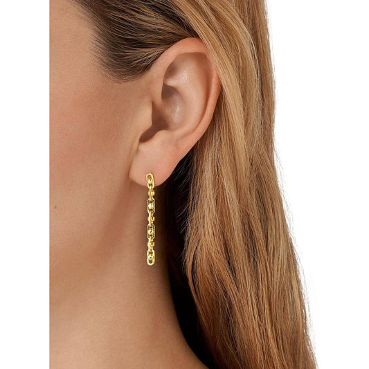 Michael Kors Astor Link Drop Earrings