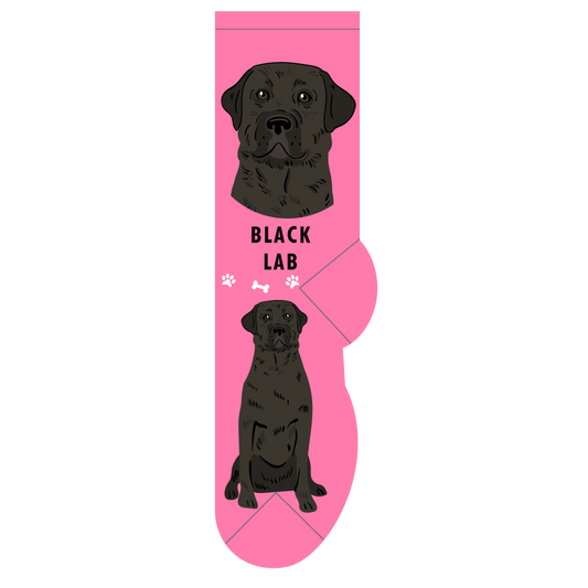 Black Lab