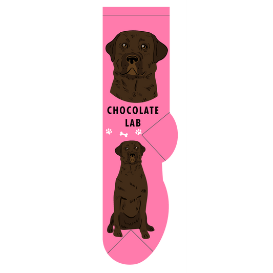 Chocolate Lab